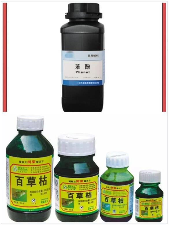 <a href='http://m.chinaepdmgranules.com' title='國際貨運代理' >國際貨運代理</a>