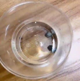 <a href='http://m.chinaepdmgranules.com' title='危險品貨代' >危險品貨代</a>